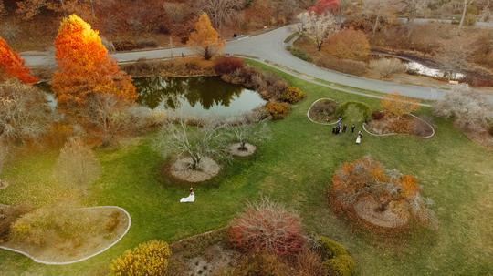 An Arboretum Ceremony: A Celebration of Love 🍃✨
